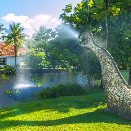 Resort Tororomba-2